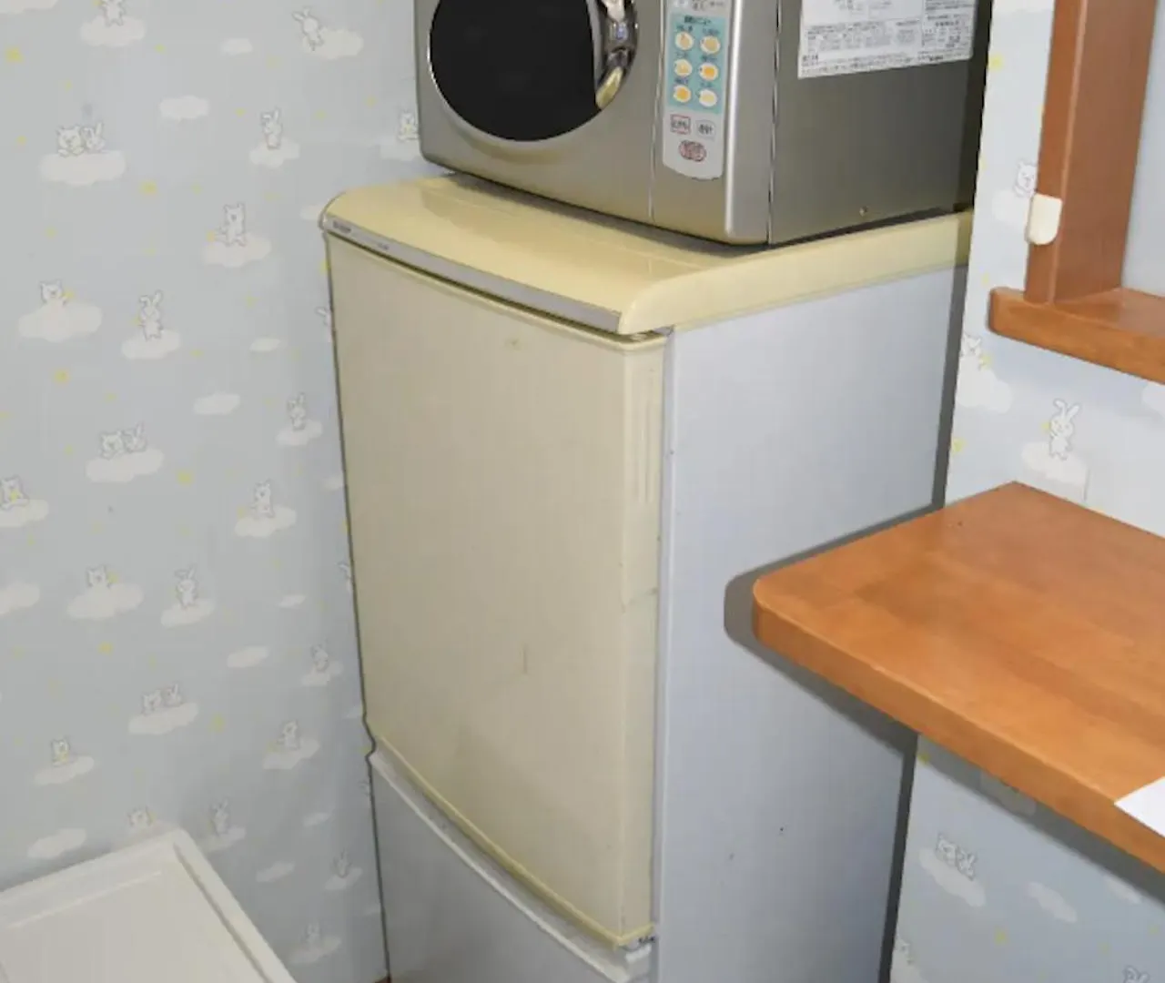 ブラウンヴェセル Apartment Tokyo 0*,  Japan